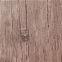 ZP 251