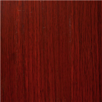 ZP 259