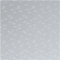 ZP 261