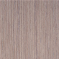 ZP 270