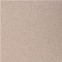 ZP 283