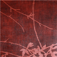 ZP 297